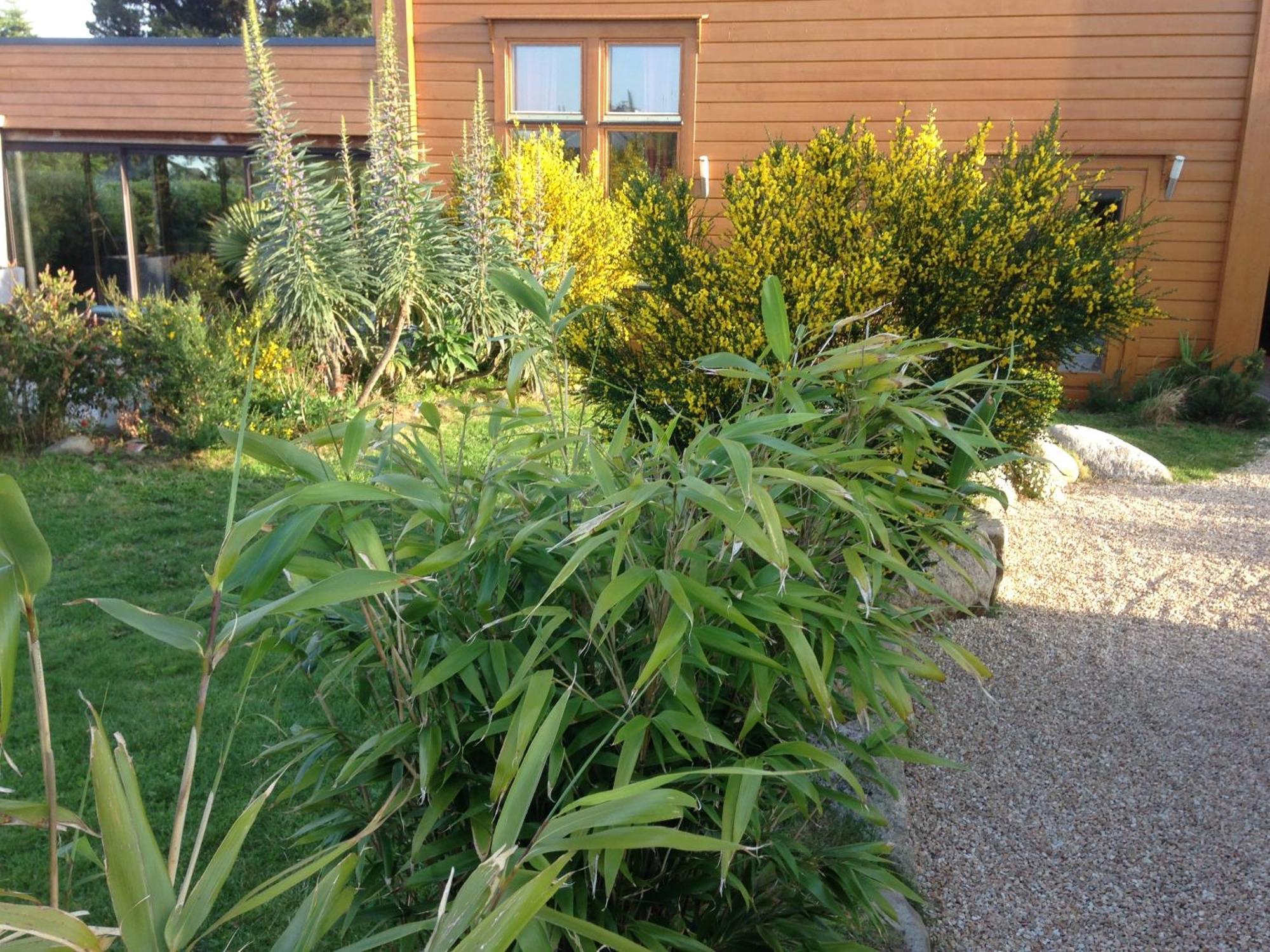 Les Villas D' Onalou Port Blanc Penvénan Esterno foto